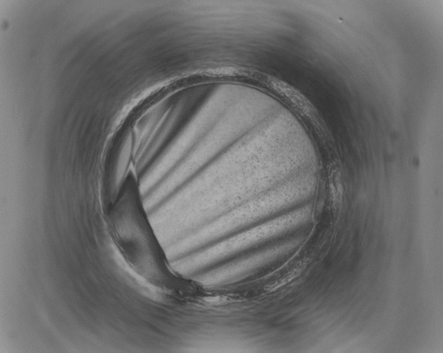 X0000081470728200701262002