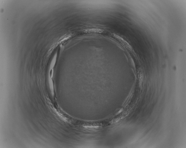 X0000081470729200701262002