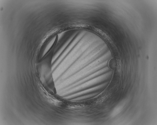 X0000081470731200701262002