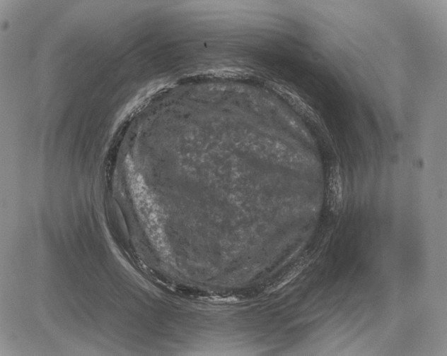 X0000081470734200701262002