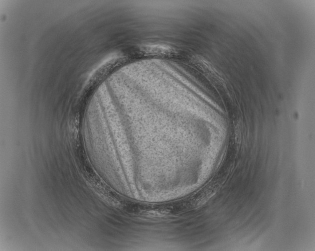 X0000081470737200701262002