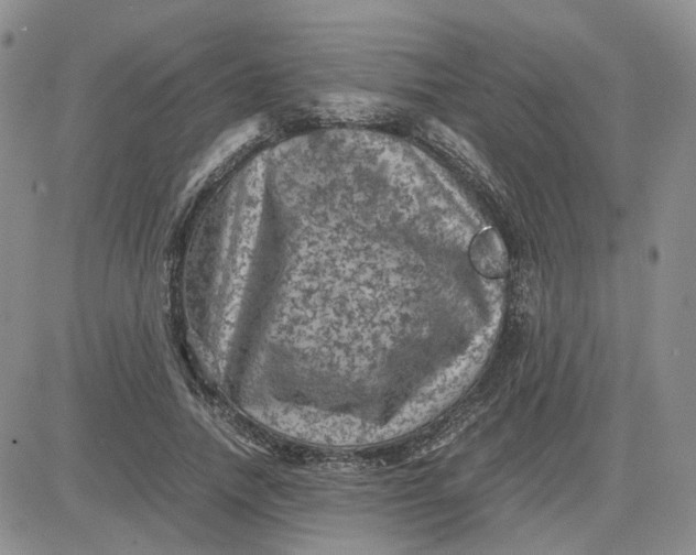 X0000081470738200701262002