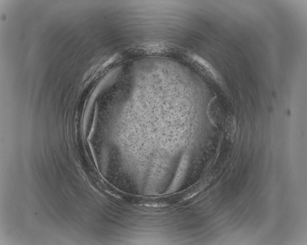 X0000081470740200701262002