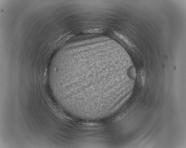 X0000081470741200701262002