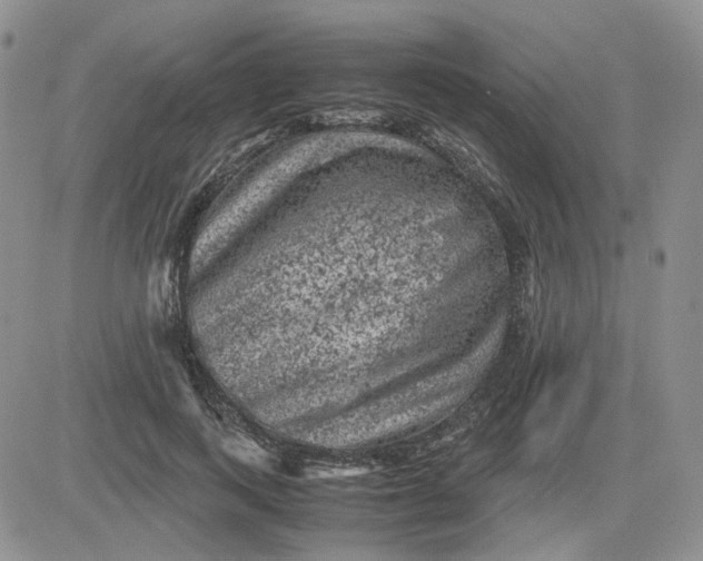 X0000081470743200701262002