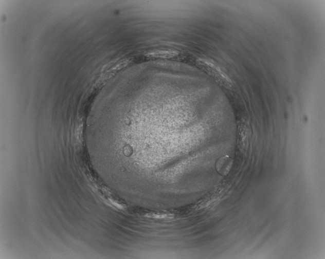 X0000081470745200701262002