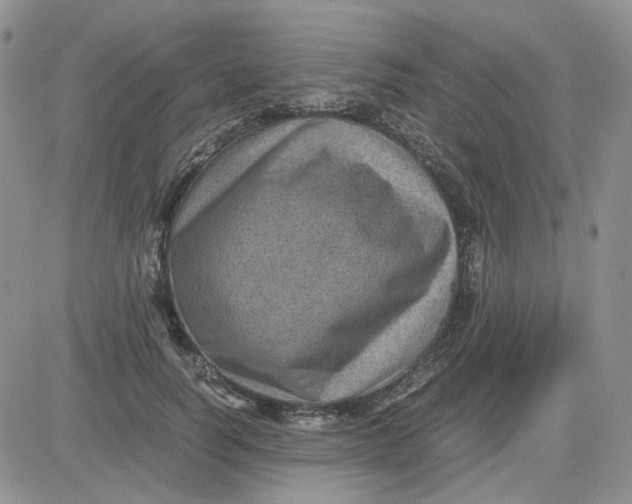 X0000081470746200701262002