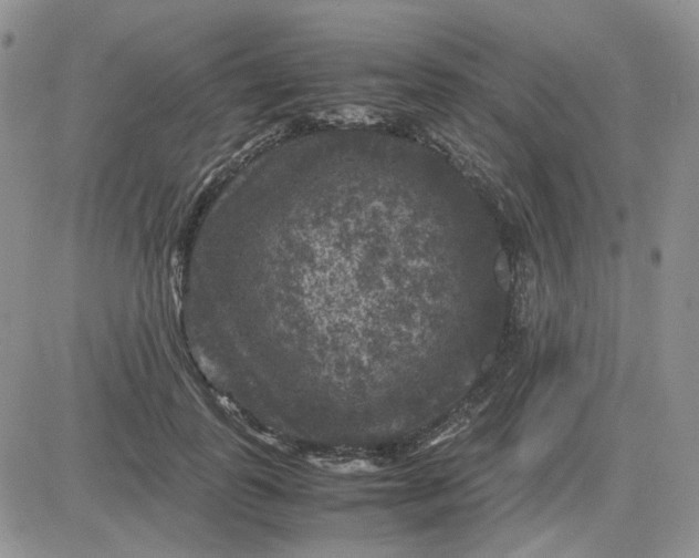 X0000081470747200701262002