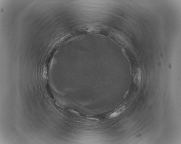 X0000081470748200701262002