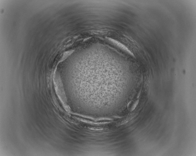 X0000081470749200701262002