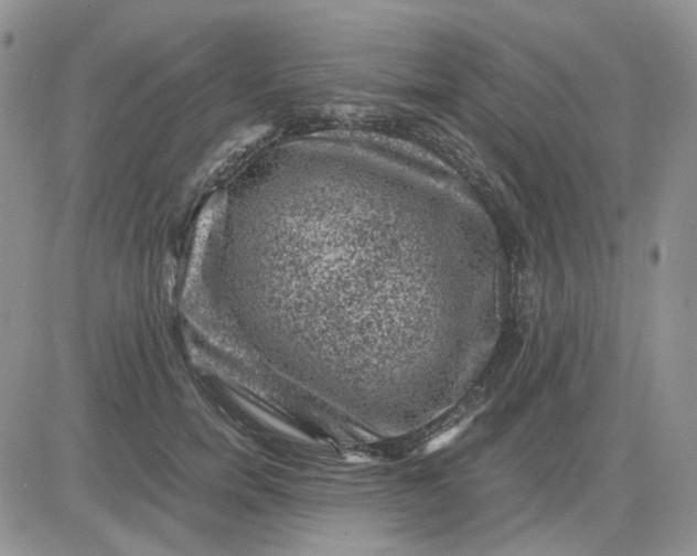 X0000081470750200701262002