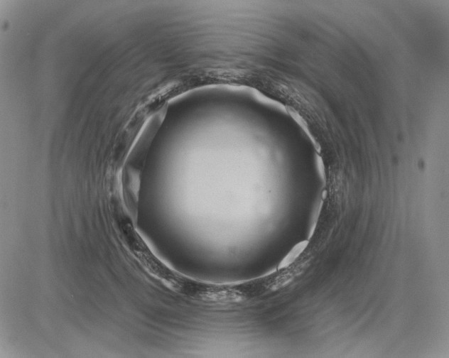 X0000081470752200701262002