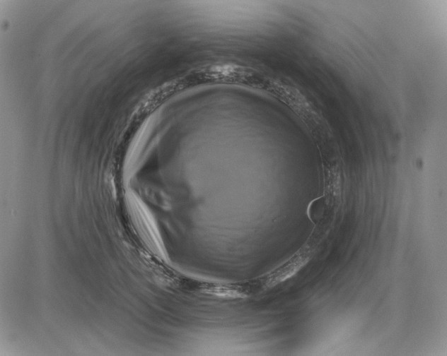 X0000081470754200701262002