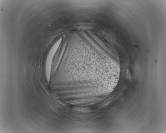 X0000081470755200701262002