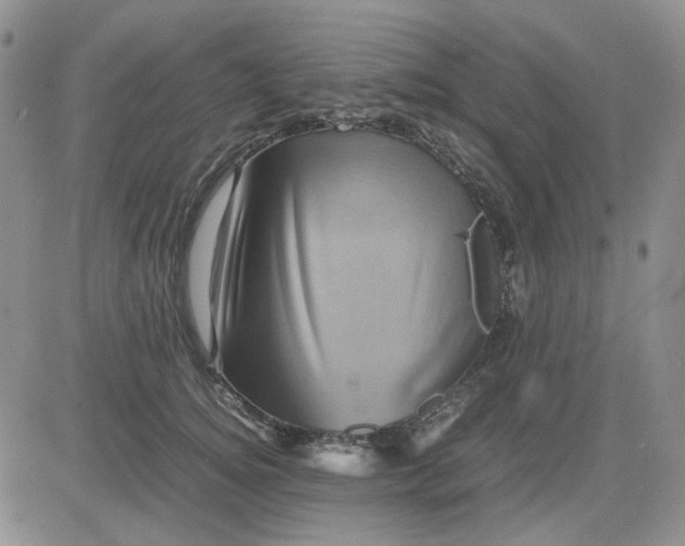 X0000081470756200701262003