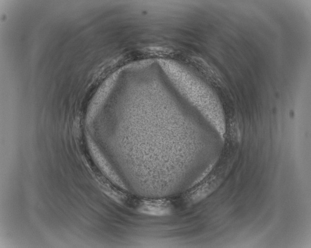 X0000081470757200701262003