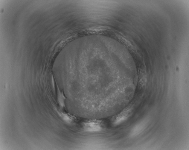 X0000081470758200701262003