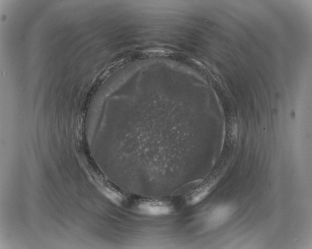 X0000081470759200701262003