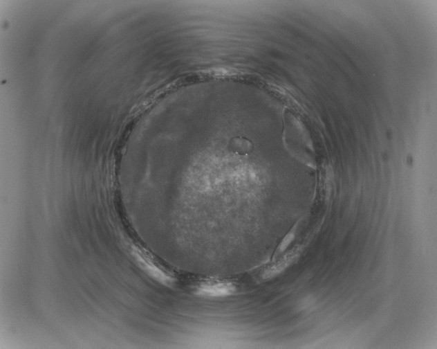 X0000081470760200701262003