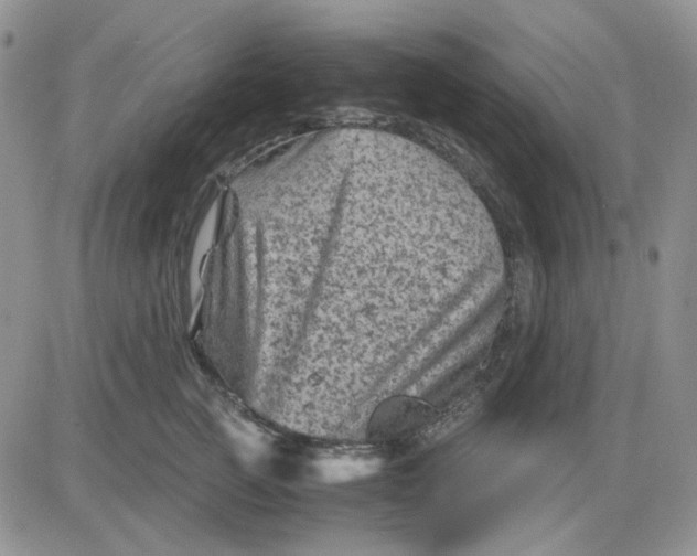 X0000081470761200701262003