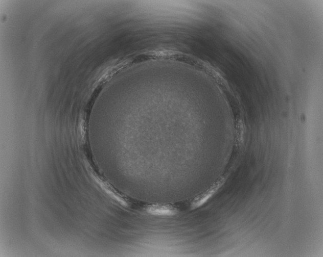 X0000081470762200701262003