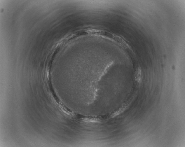 X0000081470763200701262003