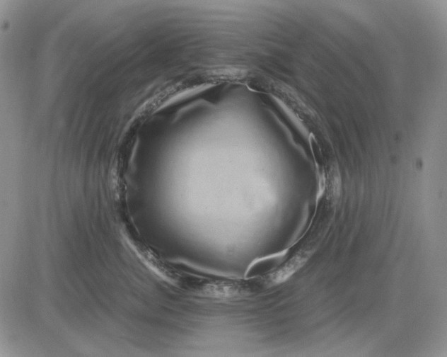 X0000081470764200701262003