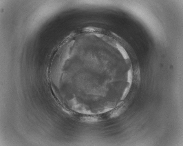 X0000081470765200701262003