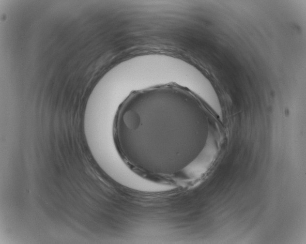 X0000081470766200701262003