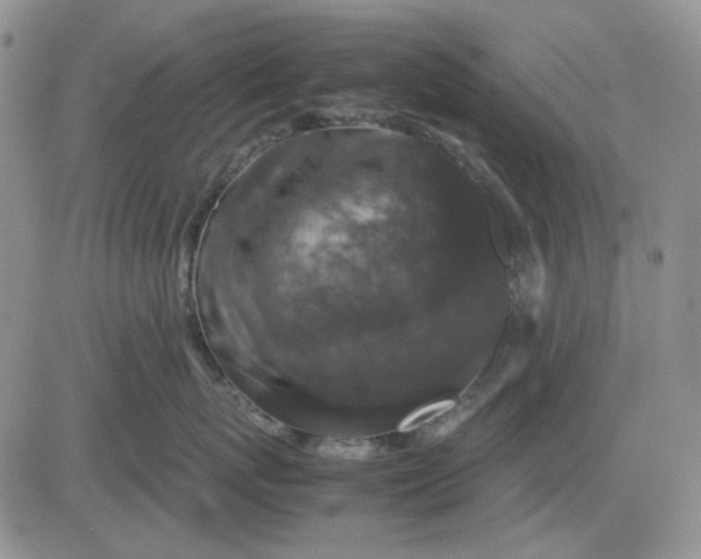 X0000081470767200701262003