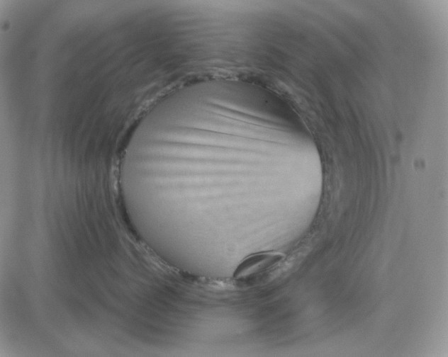 X0000081470768200701262003