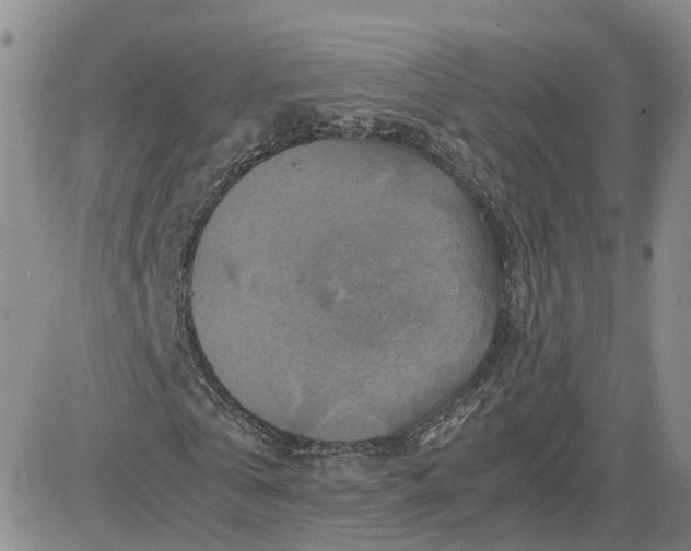 X0000081470769200701262002