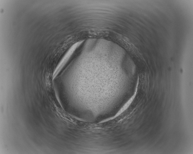 X0000081470770200701262002