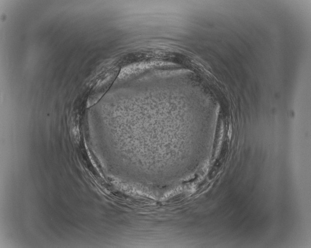 X0000081470771200701262002