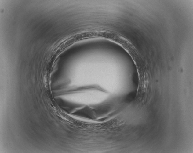 X0000081470773200701262002