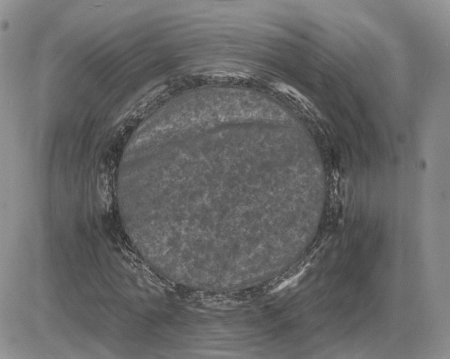 X0000081470774200701262002