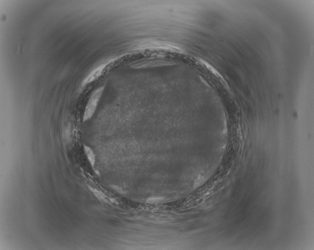 X0000081470775200701262002