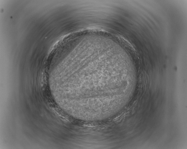 X0000081470776200701262002