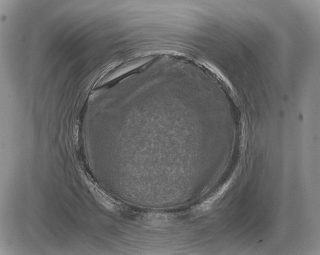 X0000081470777200701262002