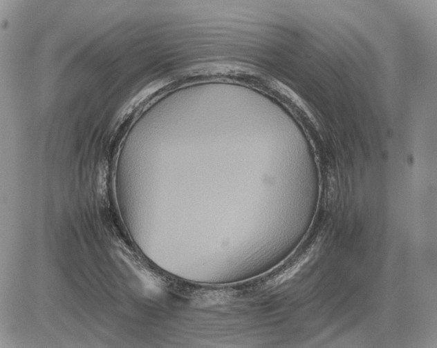 X0000081470778200701262002