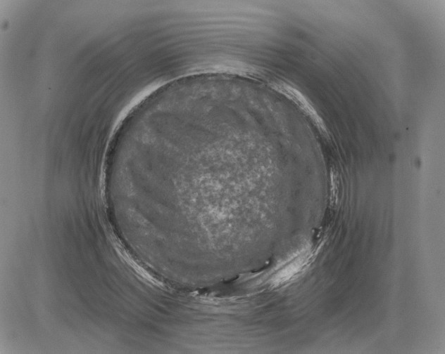 X0000081470780200701262002