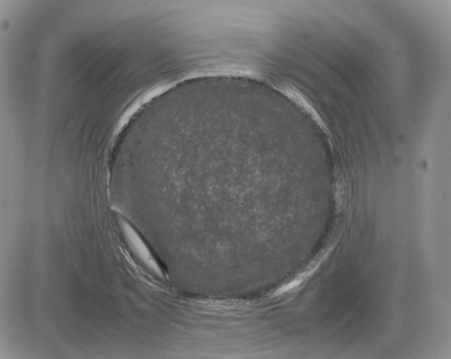 X0000081470781200701262002