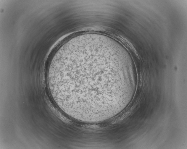 X0000081470784200701262002