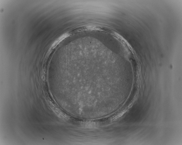 X0000081470785200701262002