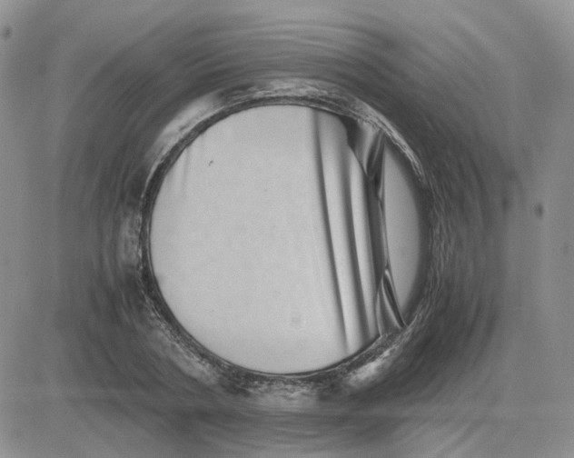 X0000081470786200701262002