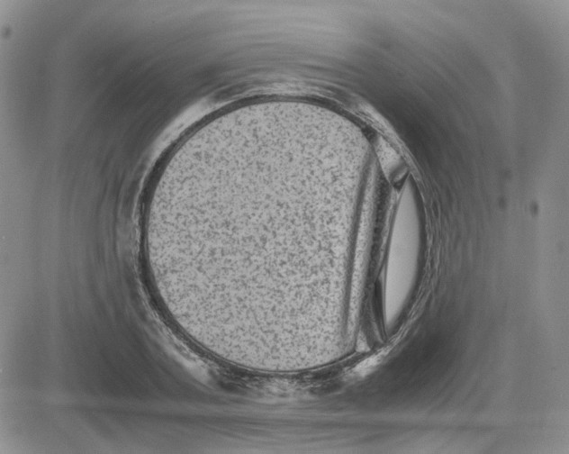 X0000081470787200701262002