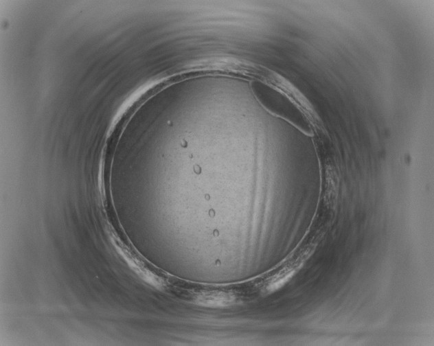 X0000081470788200701262002