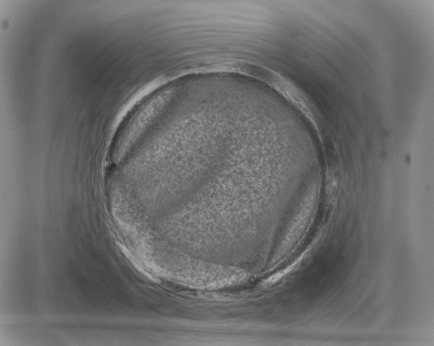 X0000081470789200701262002