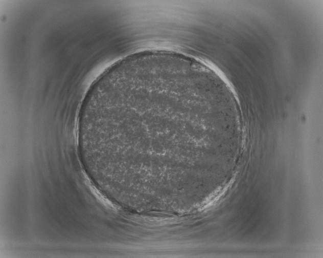 X0000081470791200701262002