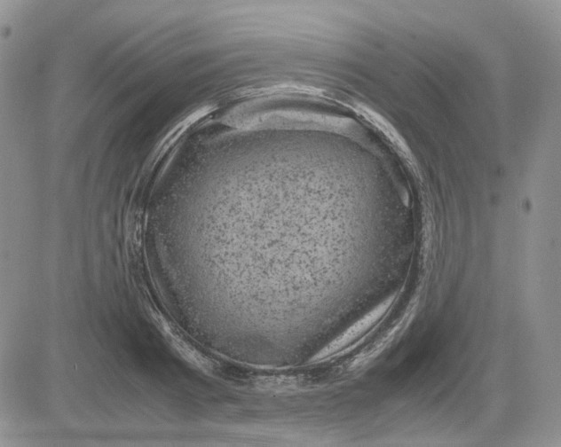 X0000081470793200701262002